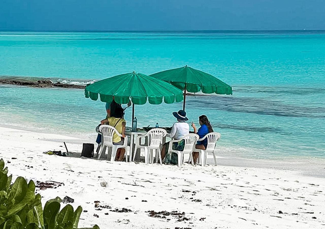 Hotel Tropical Tree Fehendhoo Exterior foto