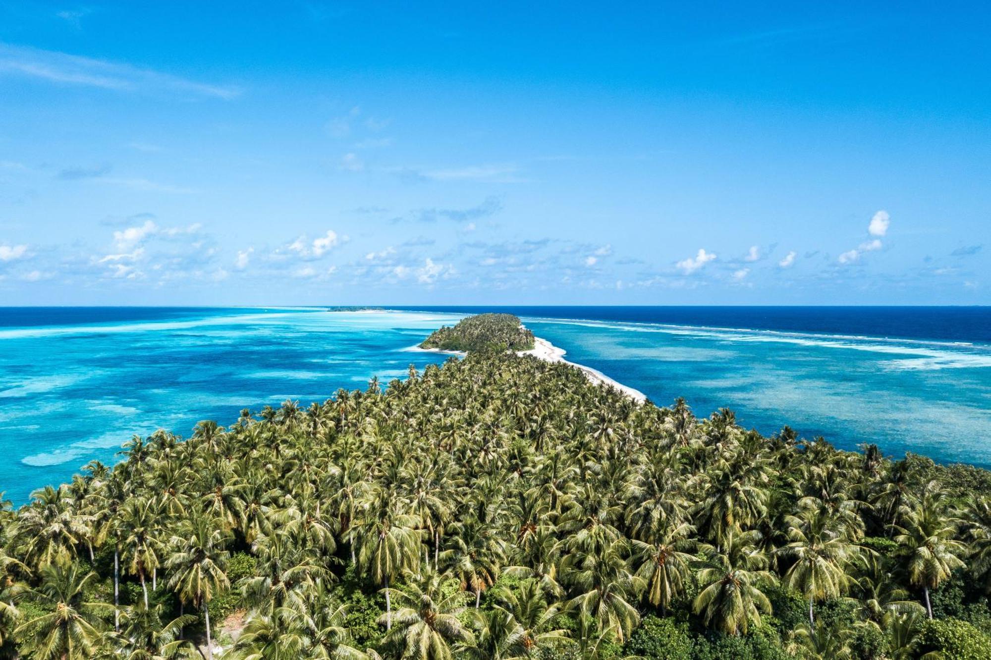 Hotel Tropical Tree Fehendhoo Exterior foto