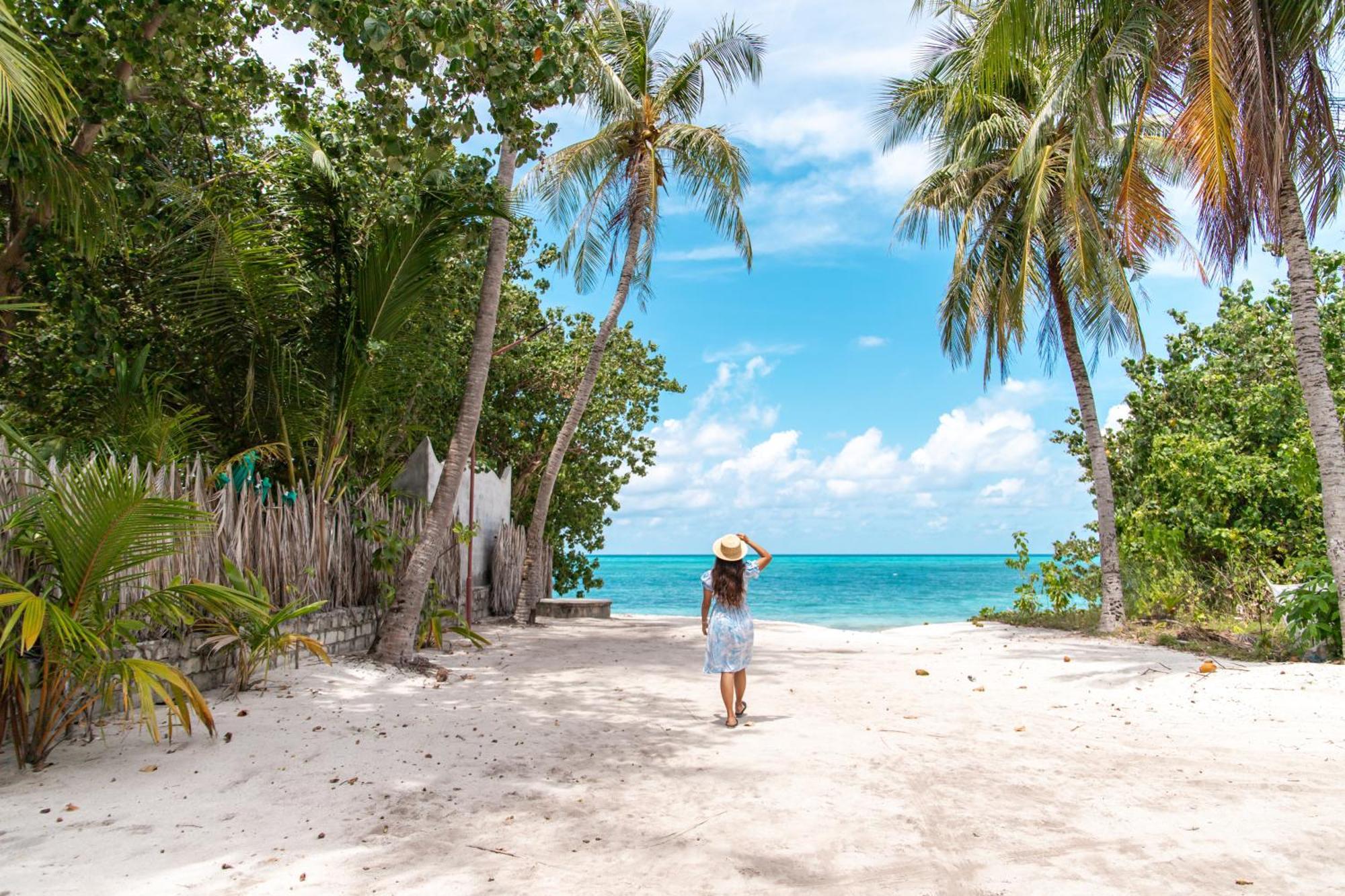Hotel Tropical Tree Fehendhoo Exterior foto