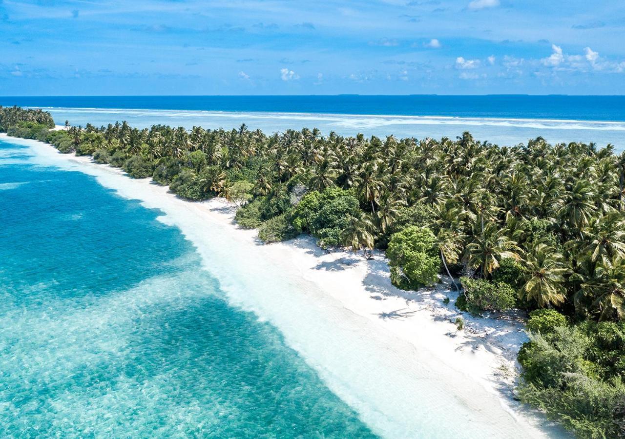 Hotel Tropical Tree Fehendhoo Exterior foto